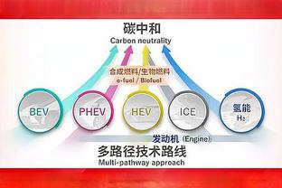 达利奇：葡萄牙能帮我们找出问题 他们与西班牙风格类似